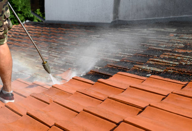 Best Power Washing Near Me  in Gordonsville, TN